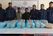 পটুয়াখালীতে ৩৫ কেজি গাঁজাসহ দুজন গ্রেফতার