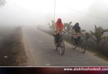 তীব্র শীতের বিদায় ঘণ্টা বাজার আভাস দিয়েছে আবহাওয়া অধিদপ্তর