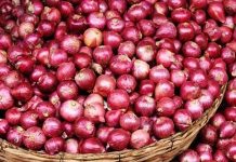 পেঁয়াজ-রসুন সংরক্ষণে দেশীয় প্রযুক্তিতে প্রস্তুত ৮০ আধুনিক ঘর