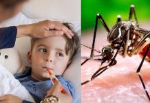 ডেঙ্গু থেকে সেরে ওঠার পরও সাবধান হওয়া প্রয়োজন