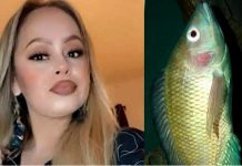 তেলাপিয়া মাছ খেয়ে মারাত্মক সংক্রমণে আক্রান্ত মার্কিনী নারী