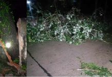 লন্ডভন্ড কক্সবাজার, উড়ে গেছে বহু ঘরবাড়ি