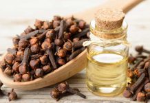 মশার কামড় থেকে বাঁচতে লবঙ্গের ব্যবহার