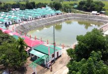 আজ বিশ্ব বসতি দিবস