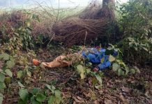 রাজবাড়ীতে ভোটকেন্দ্রে গ্রাম পুলিশ খুন