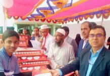 নরসিংদী বিদ্যুৎ উন্নয়ন বোর্ড উচ্চ বিদ্যালয়ের বার্ষিত্রুীড়া প্রতিযোগিতা অনুষ্ঠিত হয়েছে।