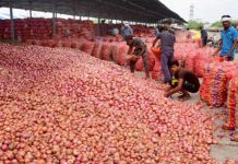 নিষেধাজ্ঞা তুলে বাংলাদেশে পেঁয়াজ রপ্তানির অনুমতি দিল ভারত