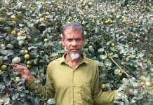 কুল-বরুই চাষ করে ভাগ্য পরিবর্তন দিনমজুর মিজানুরের