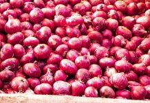 মার্চের প্রথম সপ্তাহেই ভারত থেকে আসবে পেঁয়াজ