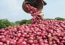 বাংলাদেশে রপ্তানির জন্য ১ হাজার ৬৫০ টন পেঁয়াজ কিনছে ভারত