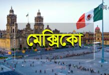 মেক্সিকোতে বারে ঢুকে এলোপাতাড়ি গুলি, নিহত ৬