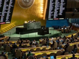 ছবিঃ সংগৃহীত