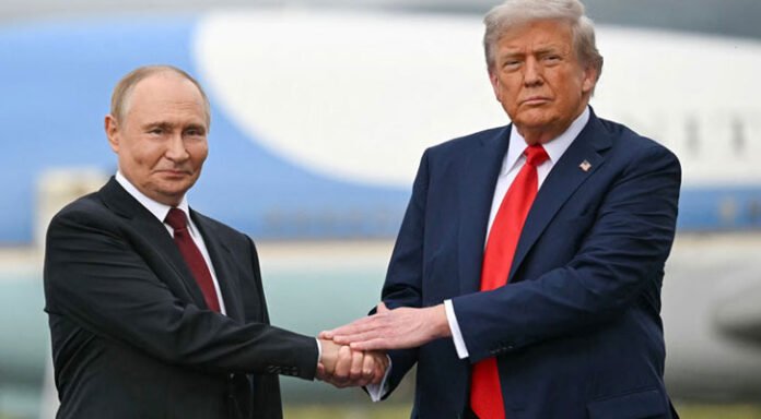 Untitled-1-20260131034750