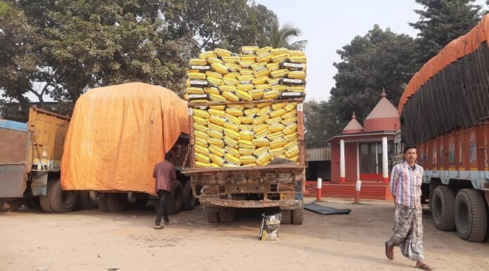 WhatsApp Image 2026-01-21 at 6.27.47 PM