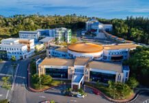 ব্রুনাই দারুস সালাম ইউনিভার্সিটিতে ফুল ফ্রী স্কলারশিপ