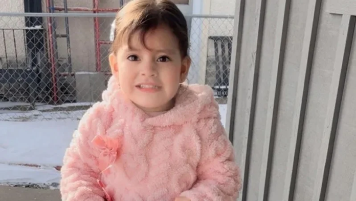 image_2026-01-25_022853886