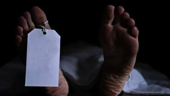 image_2026-01-31_042718388