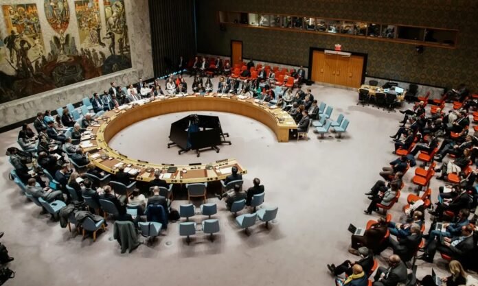 image_257904_1768538937