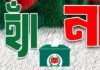 গণভোটে ‘হ্যাঁ’ জয়ের লক্ষ্যে সরকার ও দলগুলোর ব্যাপক প্রচারণা