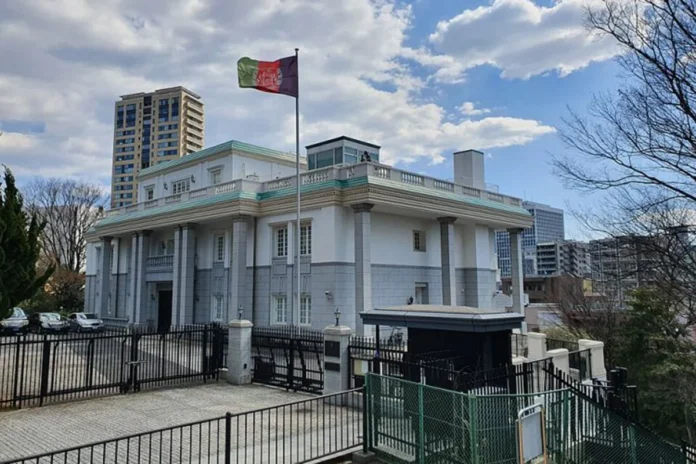 1769926139-44dc0614141019893e04a563ed3a6f63