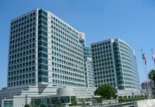 বন্ধ হচ্ছে জনপ্রিয় সফটওয়্যার ‘অ্যাডোবি অ্যানিমেট’