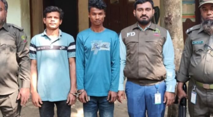 কক্সবাজারে গাছ কাটার সময় দুইজনকে গ্রেপ্তার করল বন বিভাগ