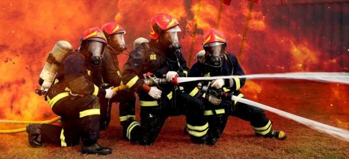 d8487676944d49f18cc0e7802f30bc25