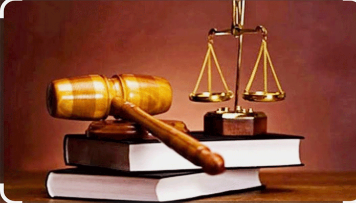 image_2026-02-01_233415664