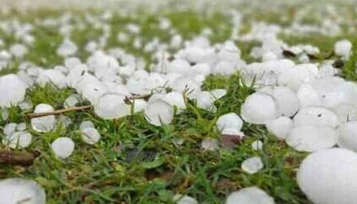 image_2026-02-01_233855895