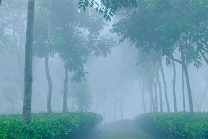 image_2026-02-02_054406230