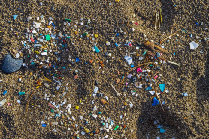 image_2026-02-03_020900662