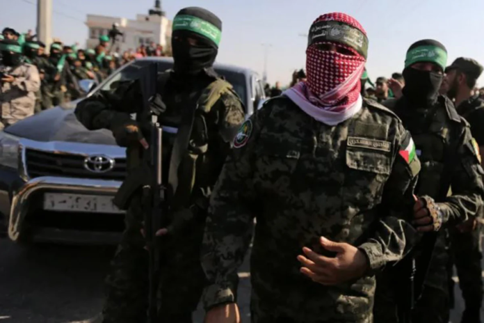 image_2026-02-03_220418546