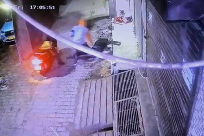 image_2026-02-03_222359856