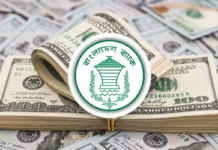 ফেব্রুয়ারির প্রথম ২ দিনেই এলো ৩২ কোটি ডলার রেমিট্যান্স