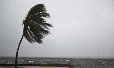 image_2026-02-04_005255536