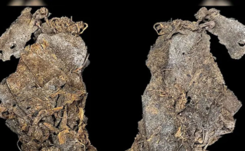 আদিম মানুষের পোশাকের নতুন প্রমাণ পেলেন গবেষকরা