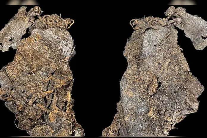 image_2026-02-17_025750940