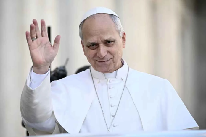 image_2026-02-19_012808149