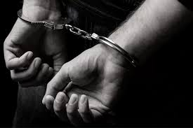 image_2026-02-19_233222146