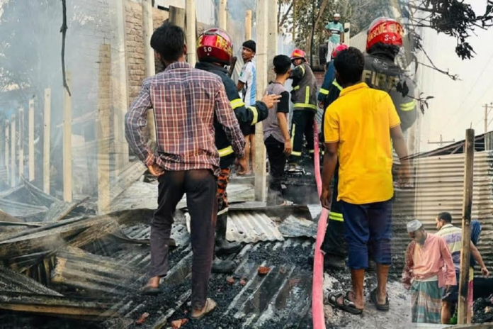 image_2026-02-20_001100177