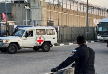 ইসরায়েলি কারাগারে ফিলিস্তিনি বন্দিদের নির্যাতনের অভিযোগ