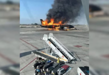 মেক্সিকোর একজন কর্মীকে নিরাপদে ফেরাতে সব টিকিট কিনে নিল প্রতিষ্ঠান!