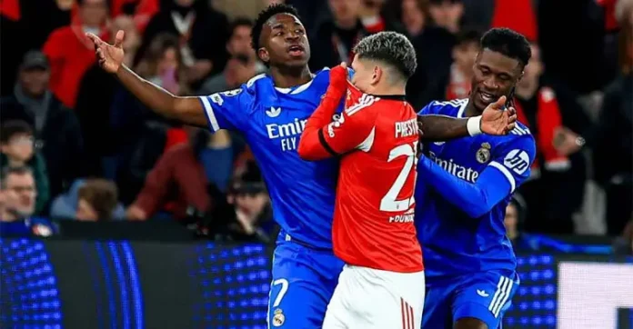 vini3-20260221121509