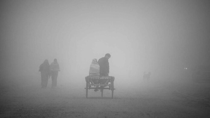 winter_20250108_123544879