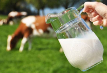 রমজানে সাশ্রয়ী দামে দুধ ও মাংস বিক্রির সিদ্ধান্ত